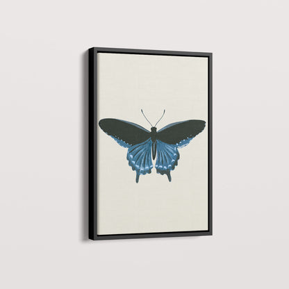Quadro Borboleta Azul