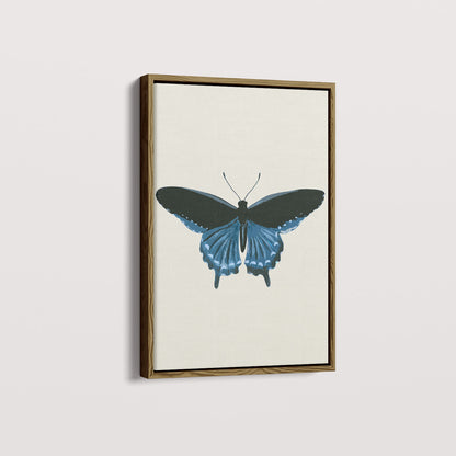Quadro Borboleta Azul