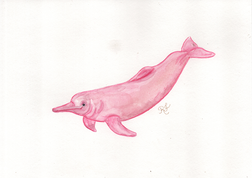 Quadro Boto cor de rosa por Rayana Karoline