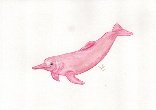 Quadro Boto cor de rosa por Rayana Karoline