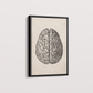 Brain Vintage