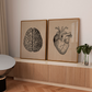 Brain Vintage - LARTESTUDIO