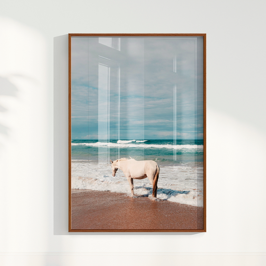Quadro Cavalo Costa por Camila da Lomba