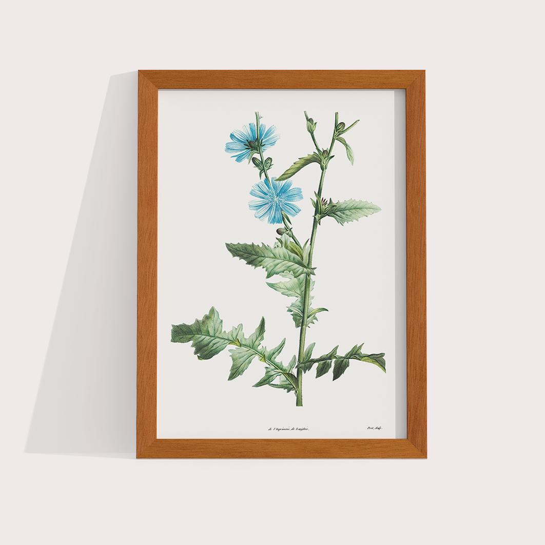 Composição Blue Flowers