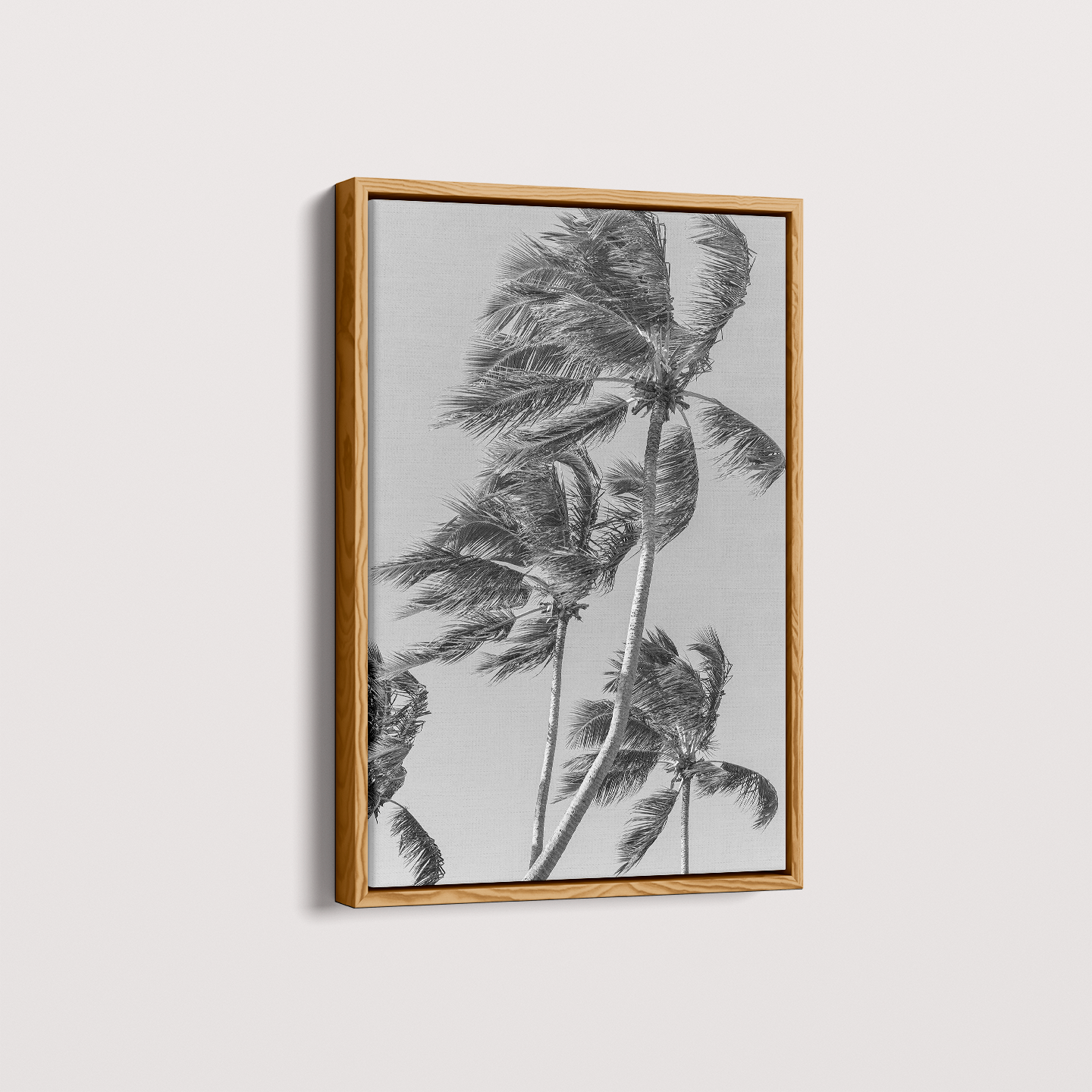 Quadro Coqueiro por Vanessa Zago