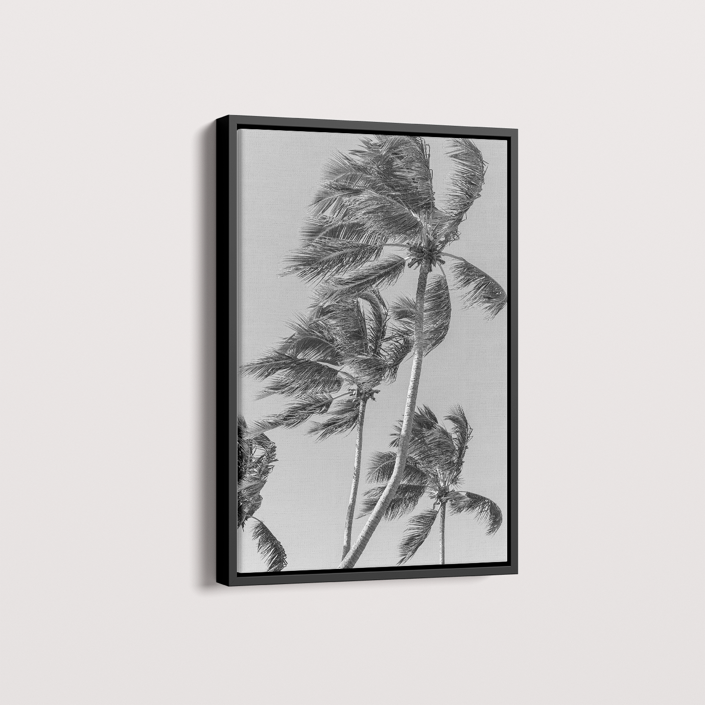 Quadro Coqueiro por Vanessa Zago