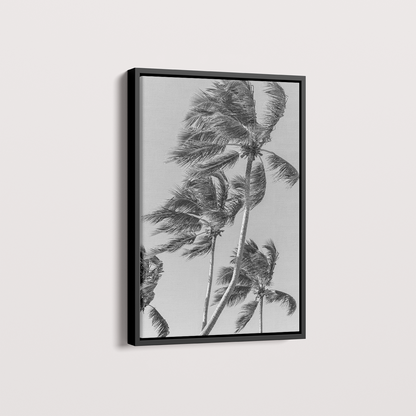 Quadro Coqueiro por Vanessa Zago