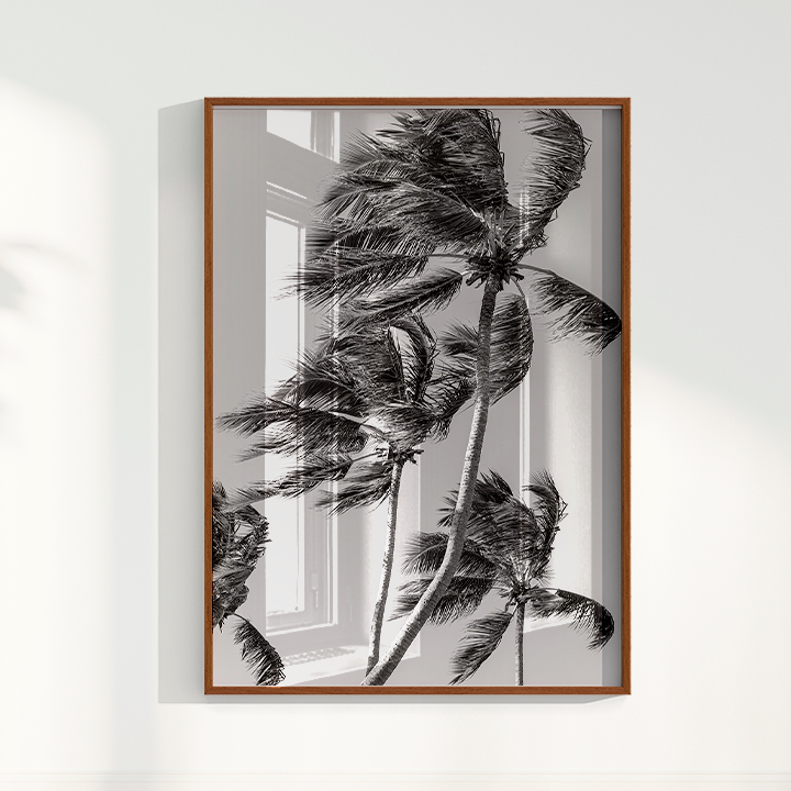 Quadro Coqueiro por Vanessa Zago