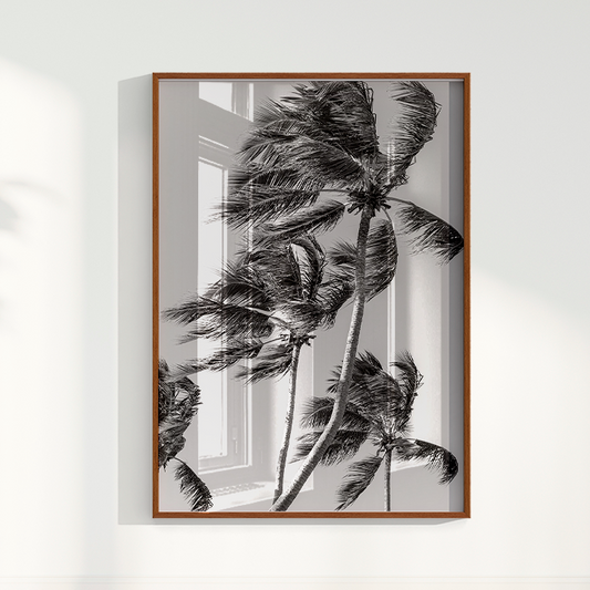 Quadro Coqueiro por Vanessa Zago