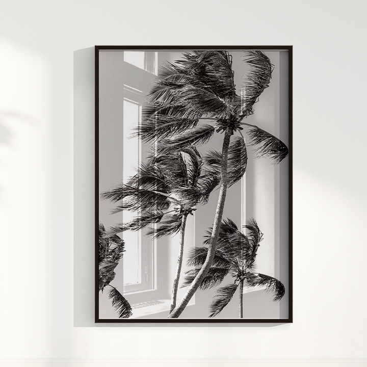 Quadro Coqueiro por Vanessa Zago