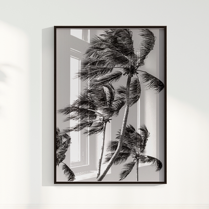 Quadro Coqueiro por Vanessa Zago