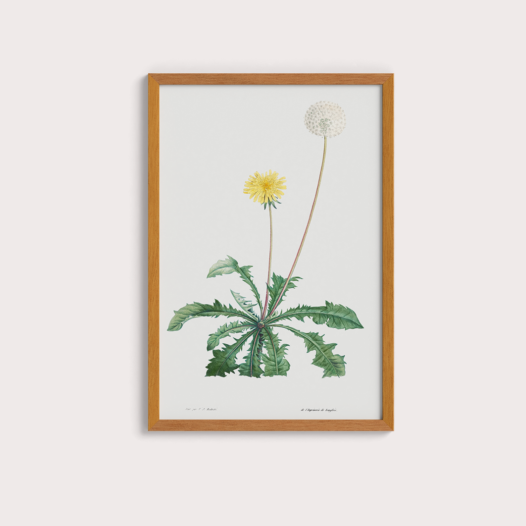 Composição Flores