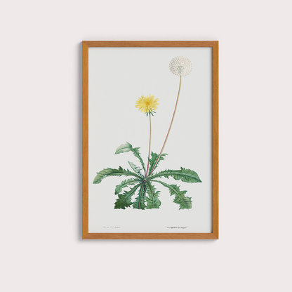 Composição Flores
