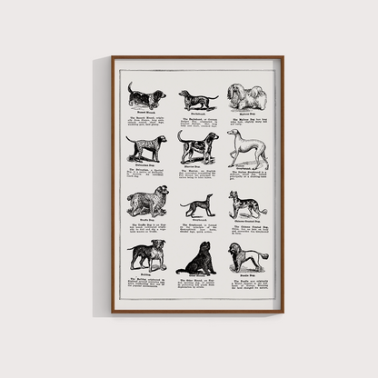 Vintage Dogs - LARTESTUDIO