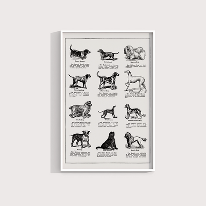 Vintage Dogs - LARTESTUDIO