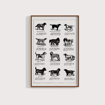 Vintage Dogs II - LARTESTUDIO