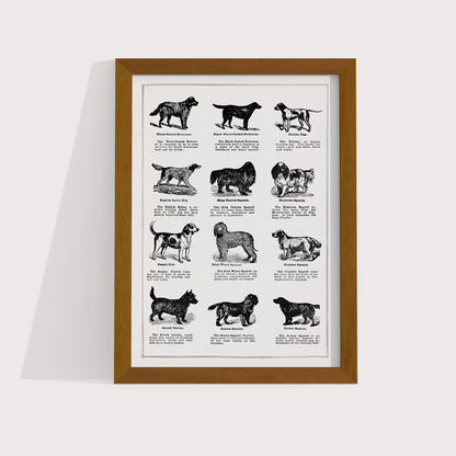 Vintage Dogs II - LARTESTUDIO
