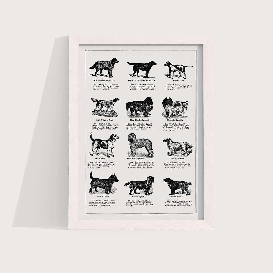 Vintage Dogs II - LARTESTUDIO