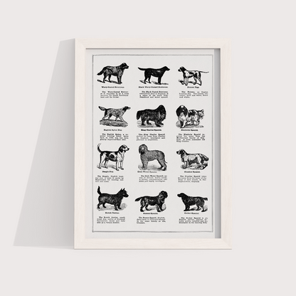 Vintage Dogs II - LARTESTUDIO