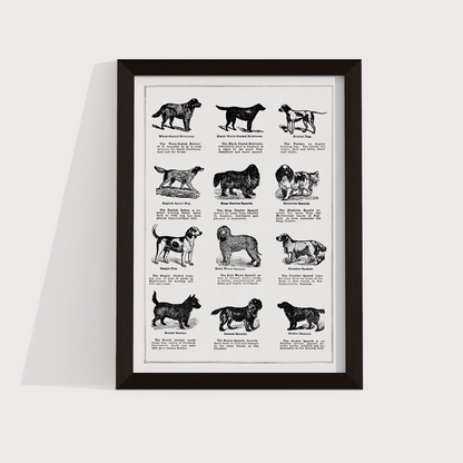Vintage Dogs II - LARTESTUDIO
