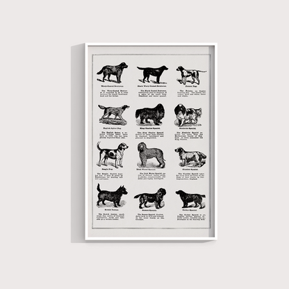 Vintage Dogs II - LARTESTUDIO