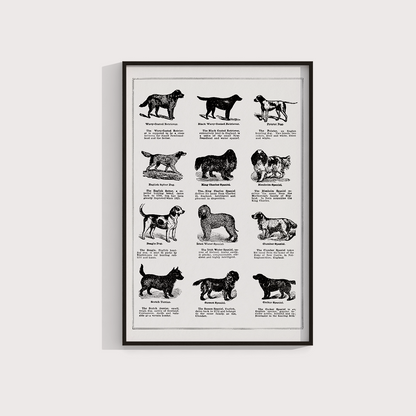 Vintage Dogs II - LARTESTUDIO