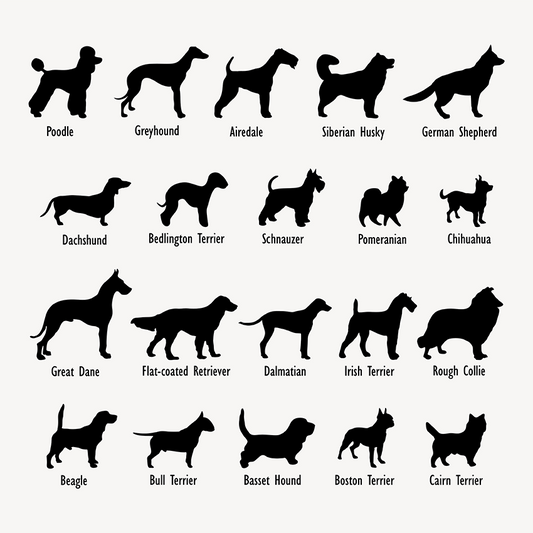 Dogs
