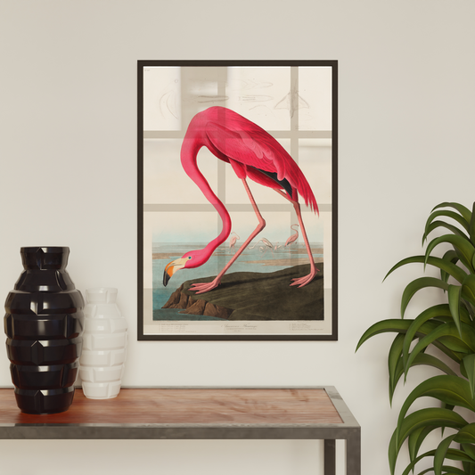 Flamingo Vintage