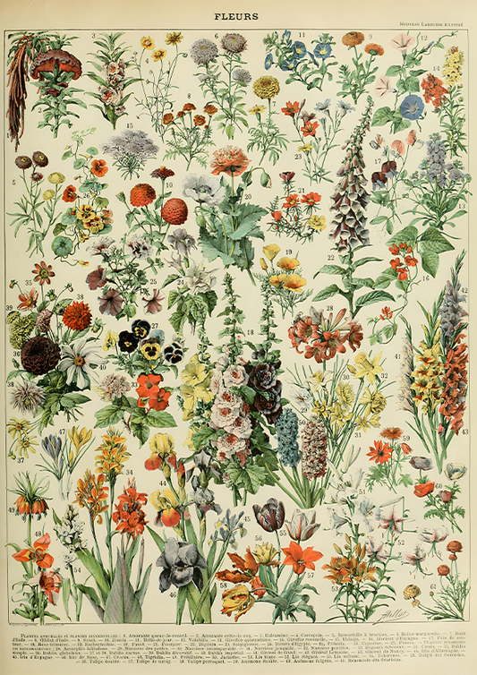 Fleurs II - flores vintage 2