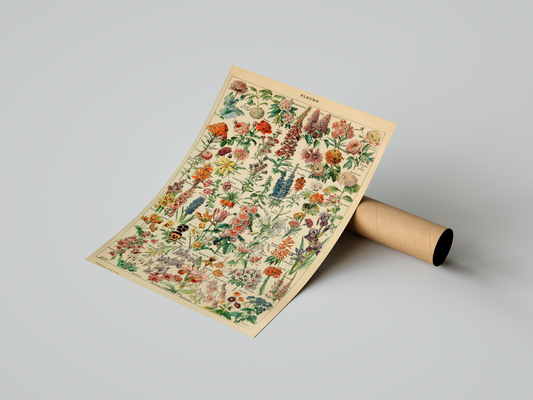 Poster Fleurs -  A2 - Pronta Entrega