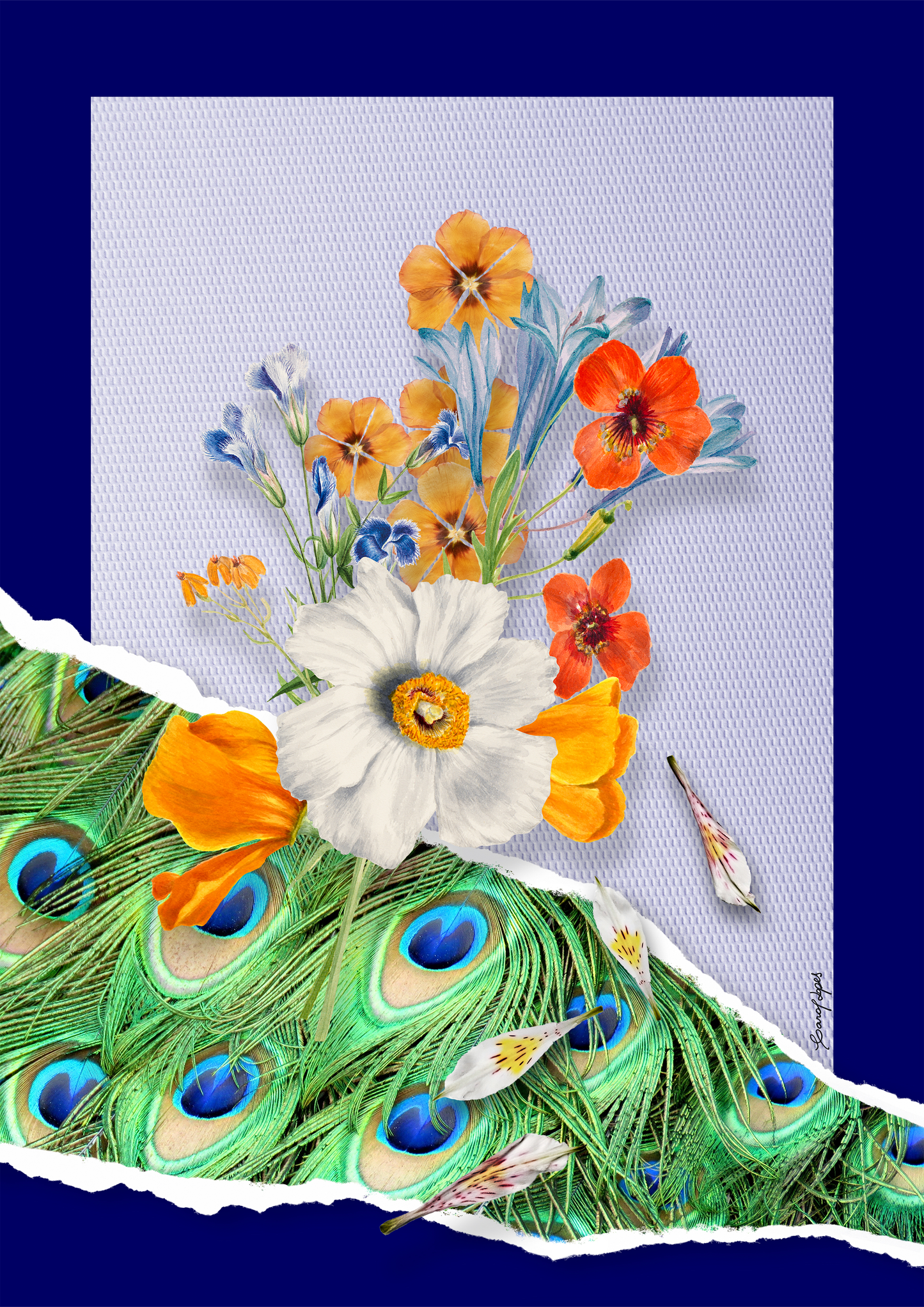 Flores animal print Pavão por Adoro Cores