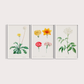 Composição Flores Quarto