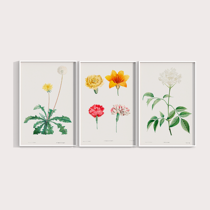 Composição Flores Quarto