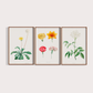 Composição Flores Quarto