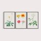 Composição Flores Quarto