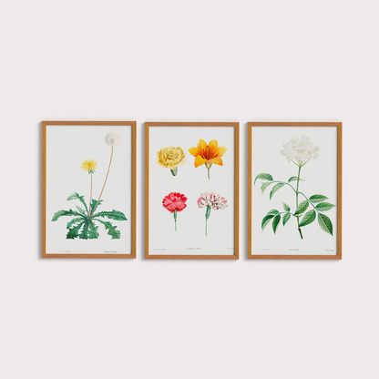 Composição Flores Quarto