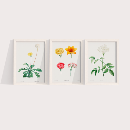 Composição Flores Quarto