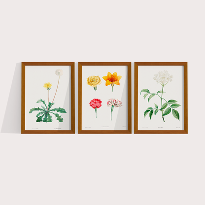 Composição Flores Quarto
