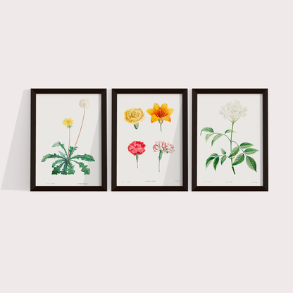 Composição Flores Quarto