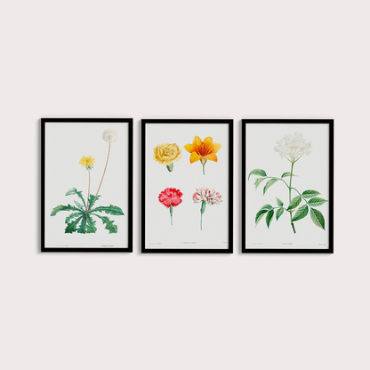 Composição Flores Quarto