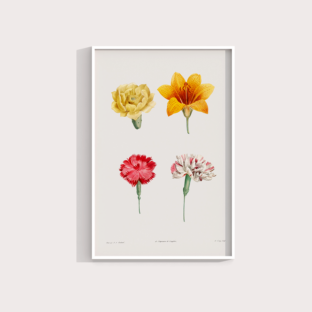 Flores