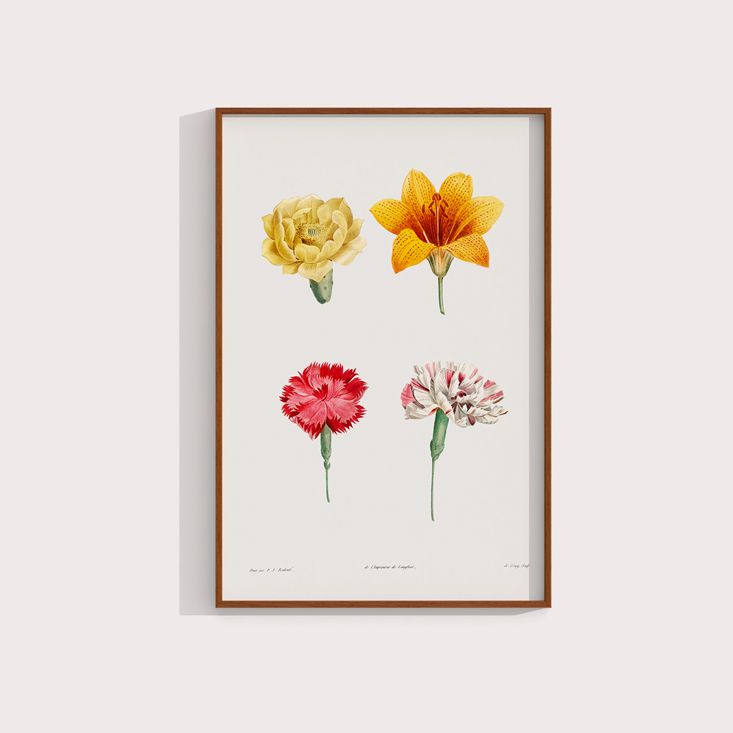 Flores