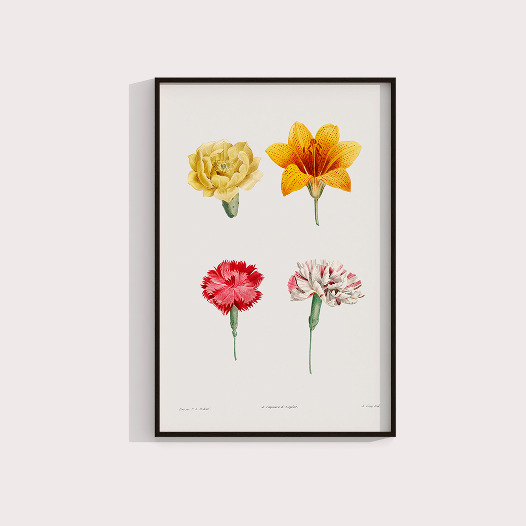 Flores