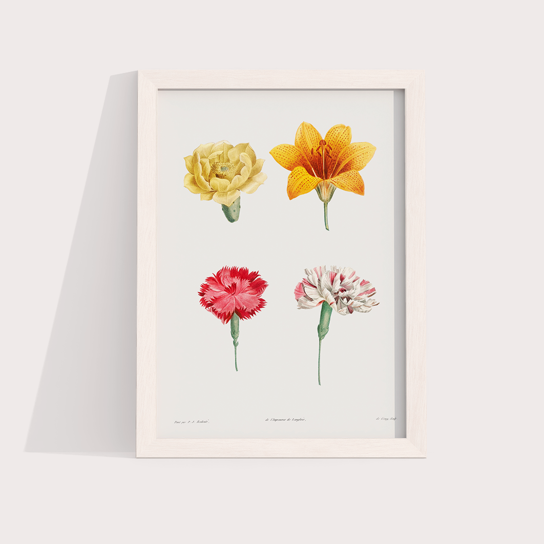 Flores