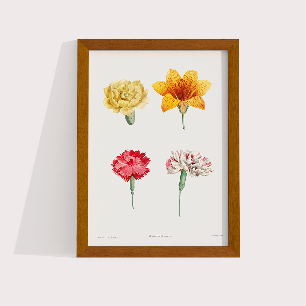 Flores