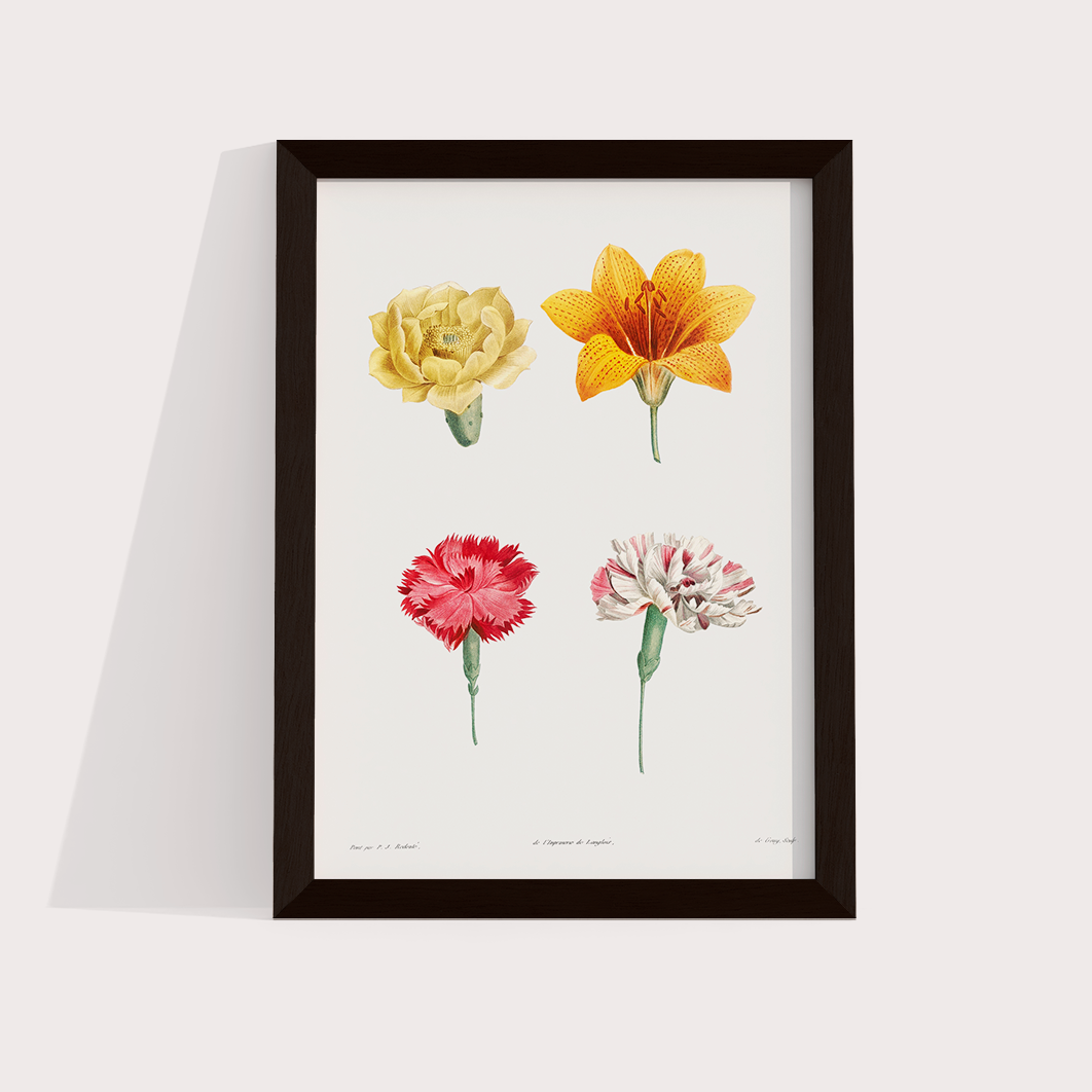 Flores