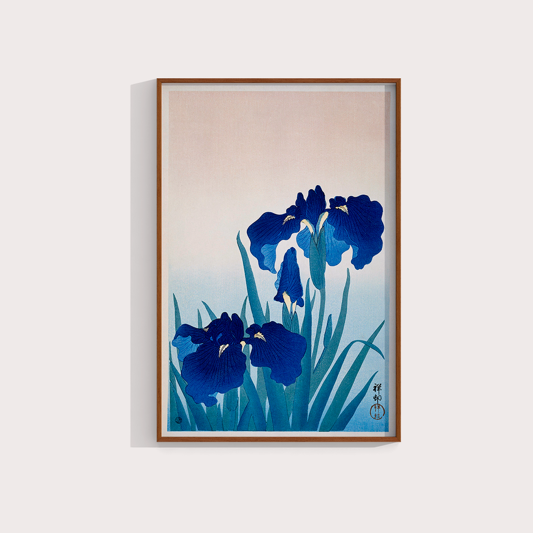 Iris Flowers por Ohara Koson