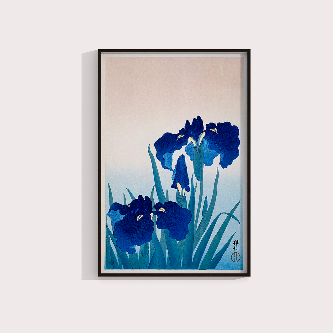 Iris Flowers por Ohara Koson