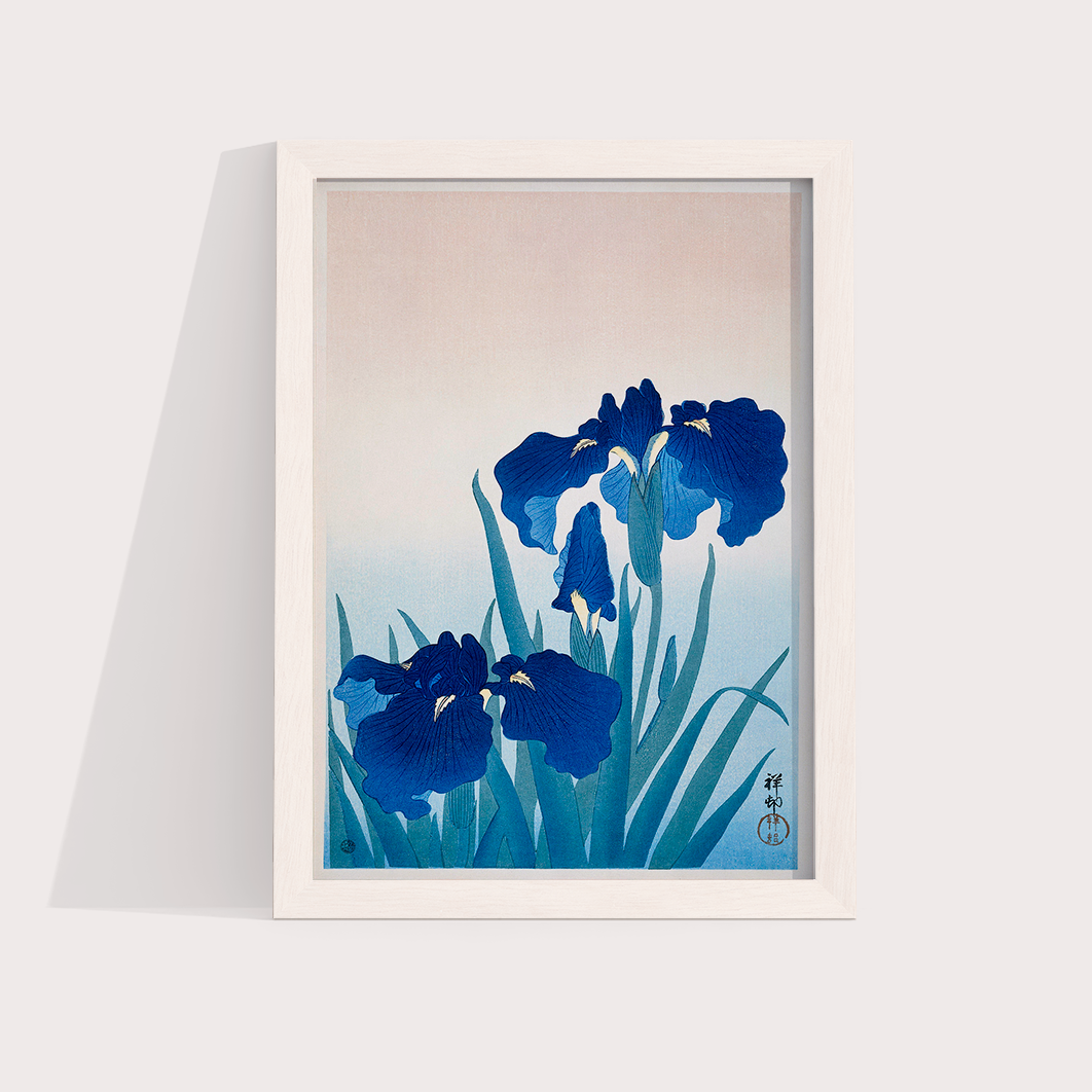 Iris Flowers por Ohara Koson