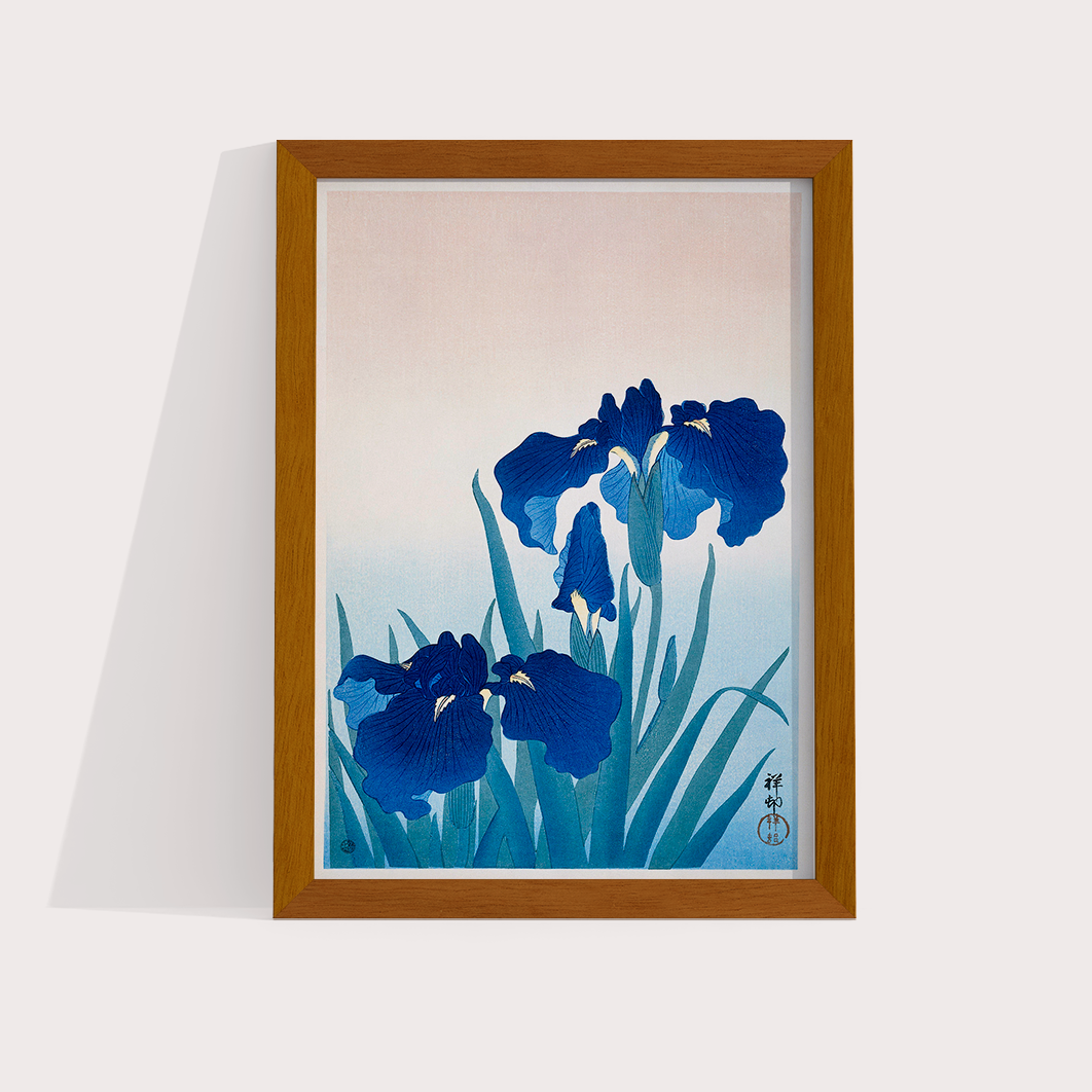Iris Flowers por Ohara Koson